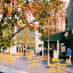Downtown in the Fall